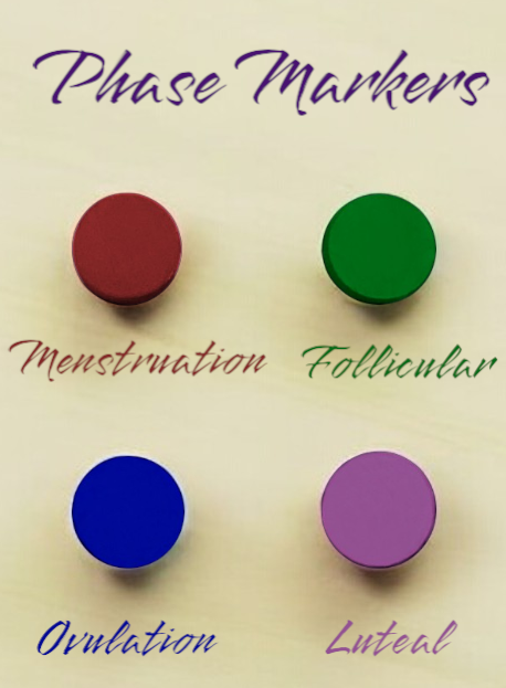 Magnetic Menstrual Cycle Tracker